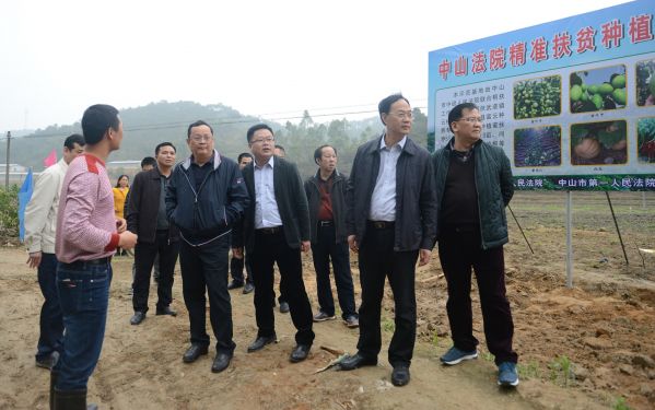 潘墀院长与谢汉豪常委一行到云楼村帮扶种植基地开展调研工作.jpg