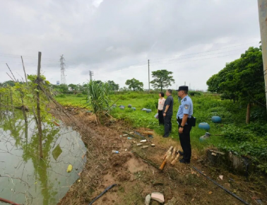 鱼塘的迎春灯笼高高挂