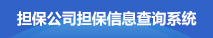 担保公司担保信息查询系统